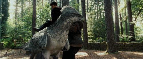 PdA-Potterish_2283.jpg
