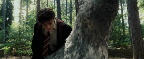 Click to view full size image
==============
PdA-Potterish_2285.jpg PdA-Potterish_2285.jpg