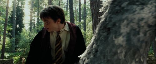 PdA-Potterish_2286.jpg