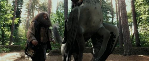 PdA-Potterish_2289.jpg