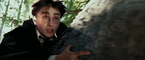 PdA-Potterish_2293.jpg