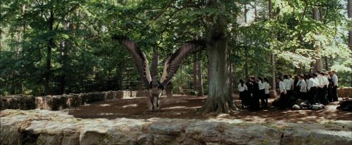 Click to view full size image
==============
PdA-Potterish_2295.jpg PdA-Potterish_2295.jpg