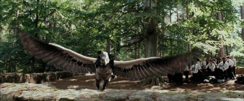 PdA-Potterish_2296.jpg