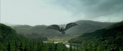 PdA-Potterish_2303.jpg