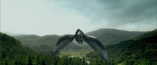 Click to view full size image
==============
PdA-Potterish_2304.jpg PdA-Potterish_2304.jpg