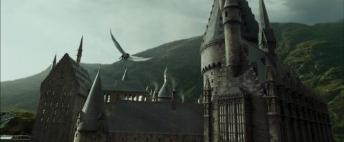 PdA-Potterish_2310.jpg