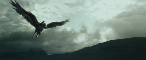 Click to view full size image
==============
PdA-Potterish_2328.jpg PdA-Potterish_2328.jpg