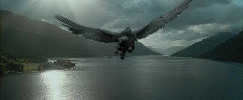 Click to view full size image
==============
PdA-Potterish_2330.jpg PdA-Potterish_2330.jpg