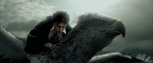 Click to view full size image
==============
PdA-Potterish_2338.jpg PdA-Potterish_2338.jpg