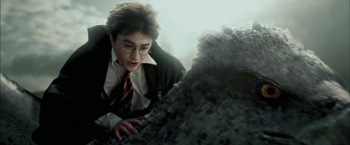 Click to view full size image
==============
PdA-Potterish_2339.jpg PdA-Potterish_2339.jpg