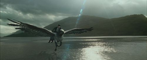 PdA-Potterish_2350.jpg