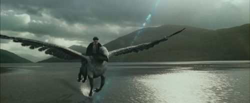 Click to view full size image
==============
PdA-Potterish_2351.jpg PdA-Potterish_2351.jpg