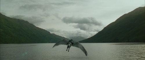 PdA-Potterish_2366.jpg