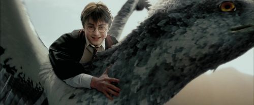 PdA-Potterish_2373.jpg