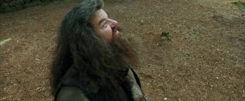 Click to view full size image
==============
PdA-Potterish_2376.jpg PdA-Potterish_2376.jpg