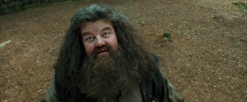 PdA-Potterish_2377.jpg