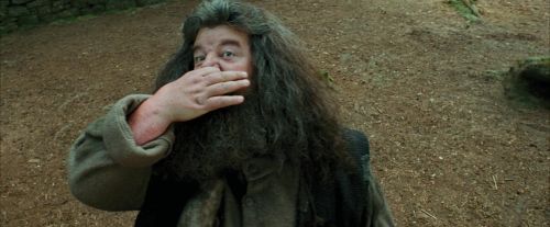 PdA-Potterish_2378.jpg