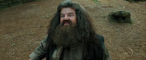 PdA-Potterish_2379.jpg