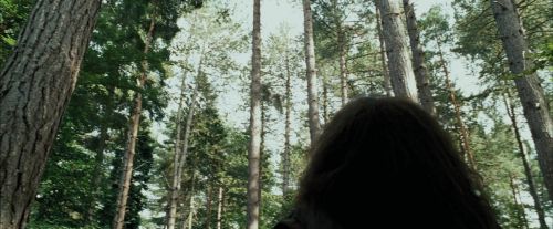 Click to view full size image
==============
PdA-Potterish_2380.jpg PdA-Potterish_2380.jpg