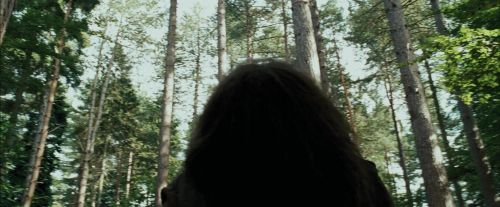 PdA-Potterish_2381.jpg