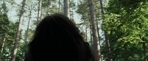 Click to view full size image
==============
PdA-Potterish_2382.jpg PdA-Potterish_2382.jpg