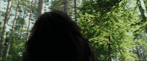 Click to view full size image
==============
PdA-Potterish_2383.jpg PdA-Potterish_2383.jpg