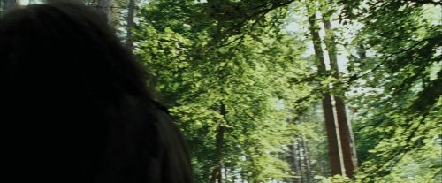 Click to view full size image
==============
PdA-Potterish_2384.jpg PdA-Potterish_2384.jpg