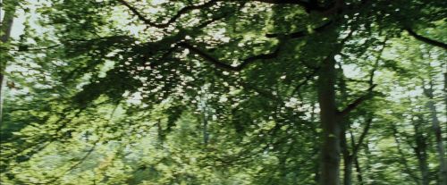 Click to view full size image
==============
PdA-Potterish_2387.jpg PdA-Potterish_2387.jpg