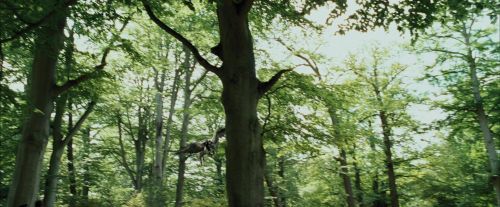 PdA-Potterish_2390.jpg