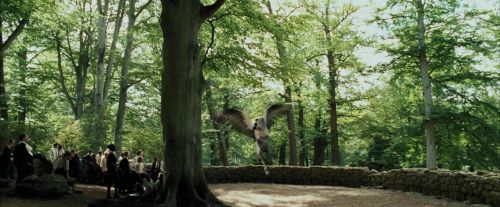 Click to view full size image
==============
PdA-Potterish_2392.jpg PdA-Potterish_2392.jpg