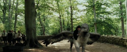 PdA-Potterish_2394.jpg