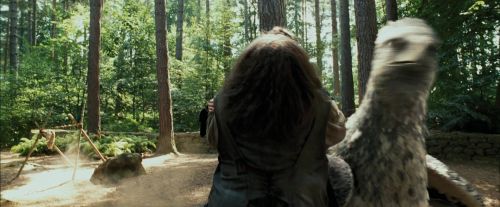 PdA-Potterish_2405.jpg