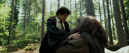 Click to view full size image
==============
PdA-Potterish_2406.jpg PdA-Potterish_2406.jpg