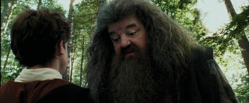 PdA-Potterish_2408.jpg