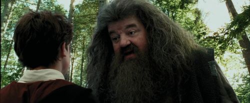 PdA-Potterish_2409.jpg