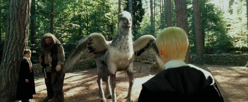 PdA-Potterish_2419.jpg