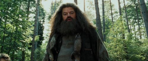 PdA-Potterish_2420.jpg