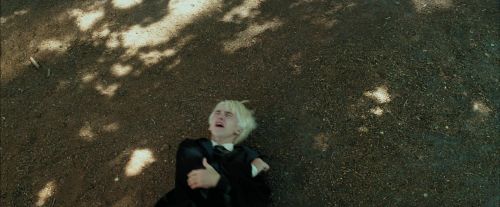 PdA-Potterish_2424.jpg