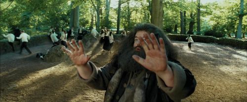 PdA-Potterish_2429.jpg