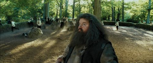 Click to view full size image
==============
PdA-Potterish_2430.jpg PdA-Potterish_2430.jpg