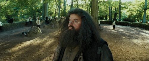 PdA-Potterish_2431.jpg