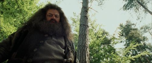 Click to view full size image
==============
PdA-Potterish_2437.jpg PdA-Potterish_2437.jpg