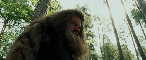 Click to view full size image
==============
PdA-Potterish_2442.jpg PdA-Potterish_2442.jpg