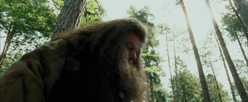 Click to view full size image
==============
PdA-Potterish_2443.jpg PdA-Potterish_2443.jpg