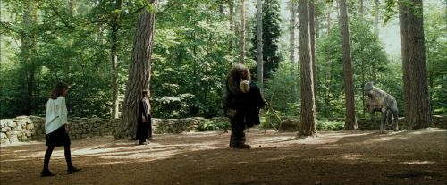 PdA-Potterish_2447.jpg