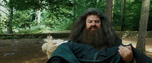 PdA-Potterish_2451.jpg