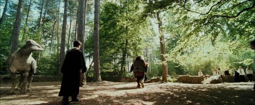 PdA-Potterish_2454.jpg