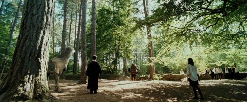Click to view full size image
==============
PdA-Potterish_2458.jpg PdA-Potterish_2458.jpg