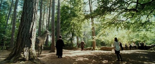 PdA-Potterish_2459.jpg