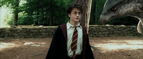 Click to view full size image
==============
PdA-Potterish_2460.jpg PdA-Potterish_2460.jpg